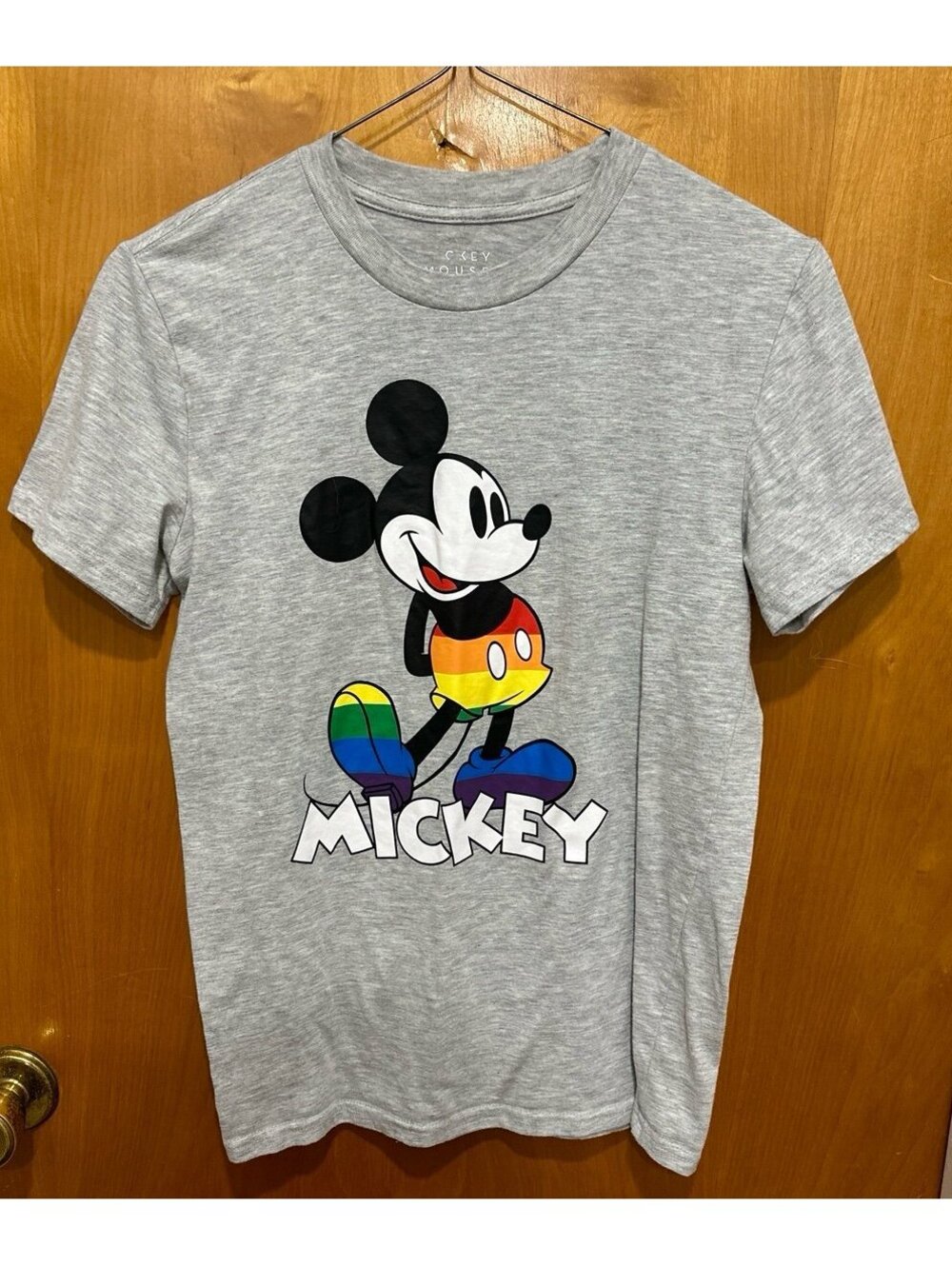 Mickey Mouse Pride Rainbow Tshirt size small